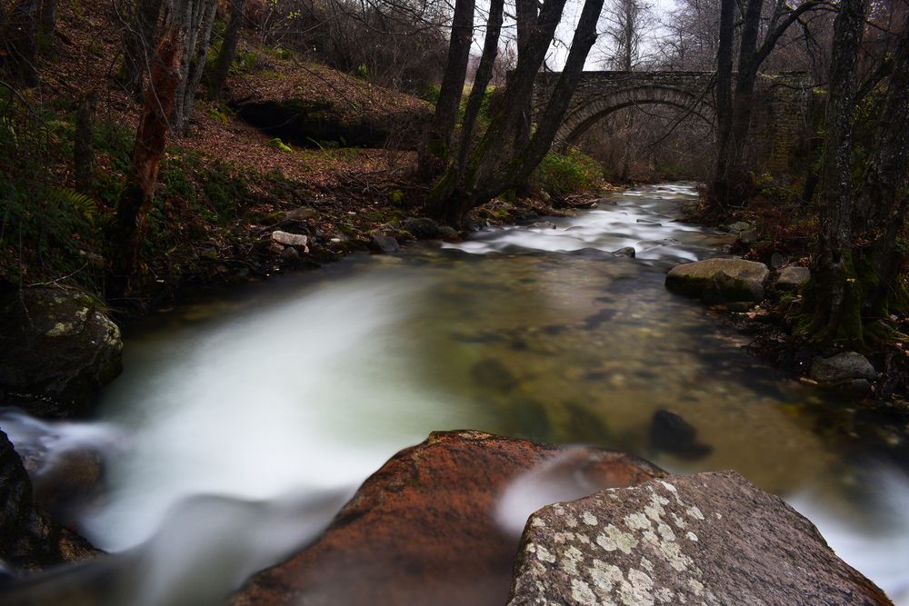 Photograph by ILIAS DIMITRIOU
