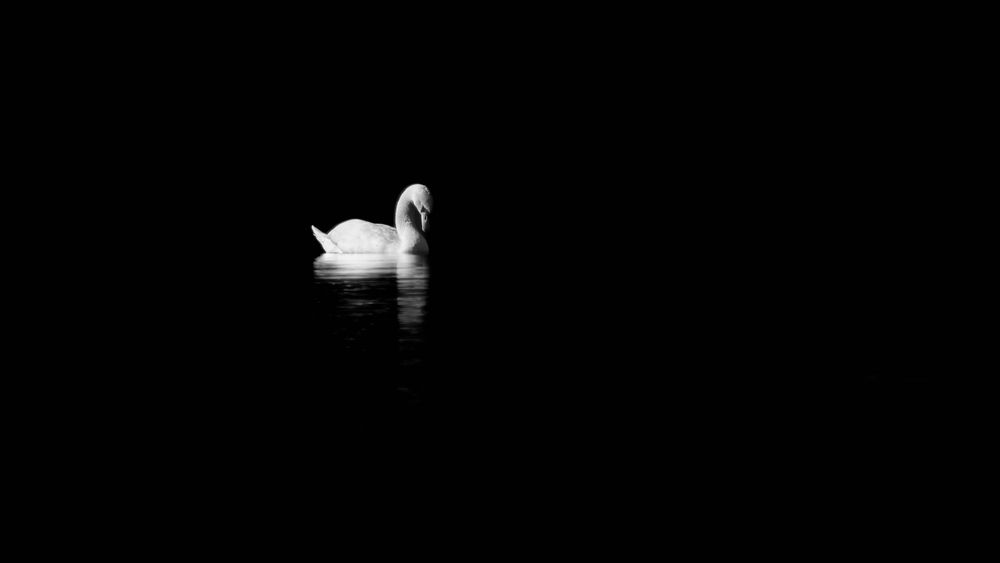 Photograph by Djordjevic Milan