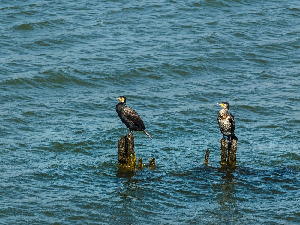 Photograph by Наталья Колеватова