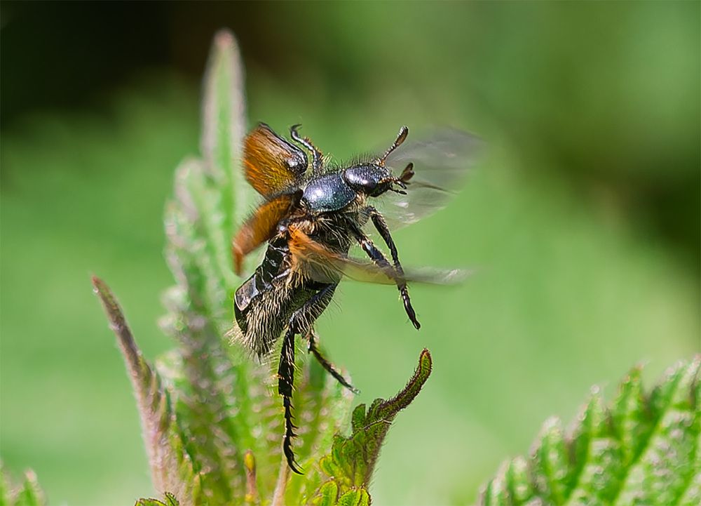 Photograph by Wendy Vanhoudt