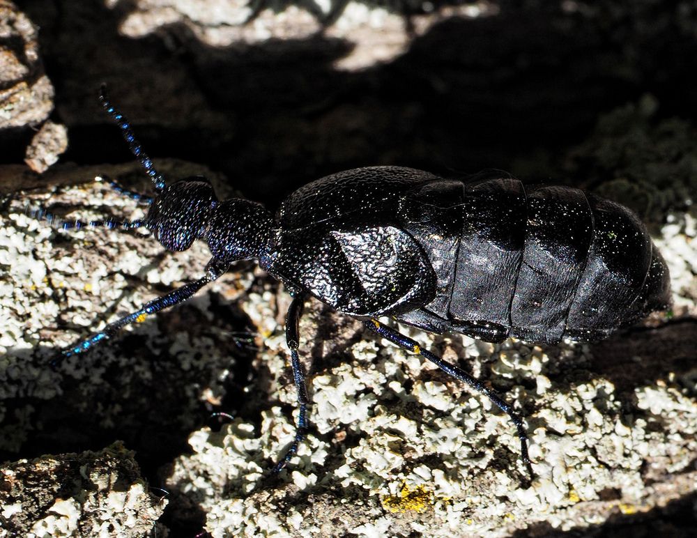 Photograph by Павел Кулинич