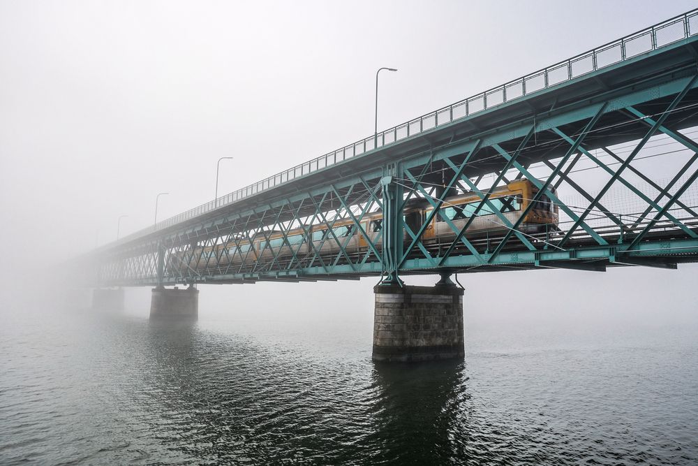 Фотография автора Luís Sérgio Gonçalves