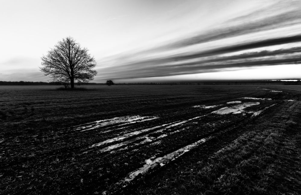 Winter morning