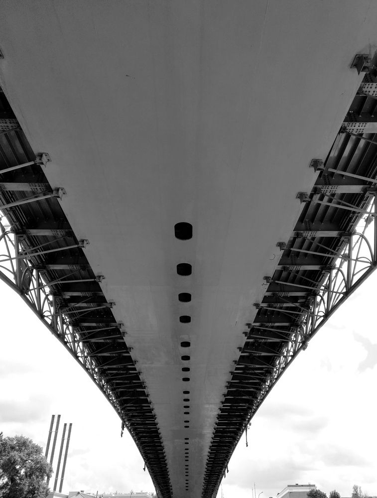 Photograph by Елена Эйнова