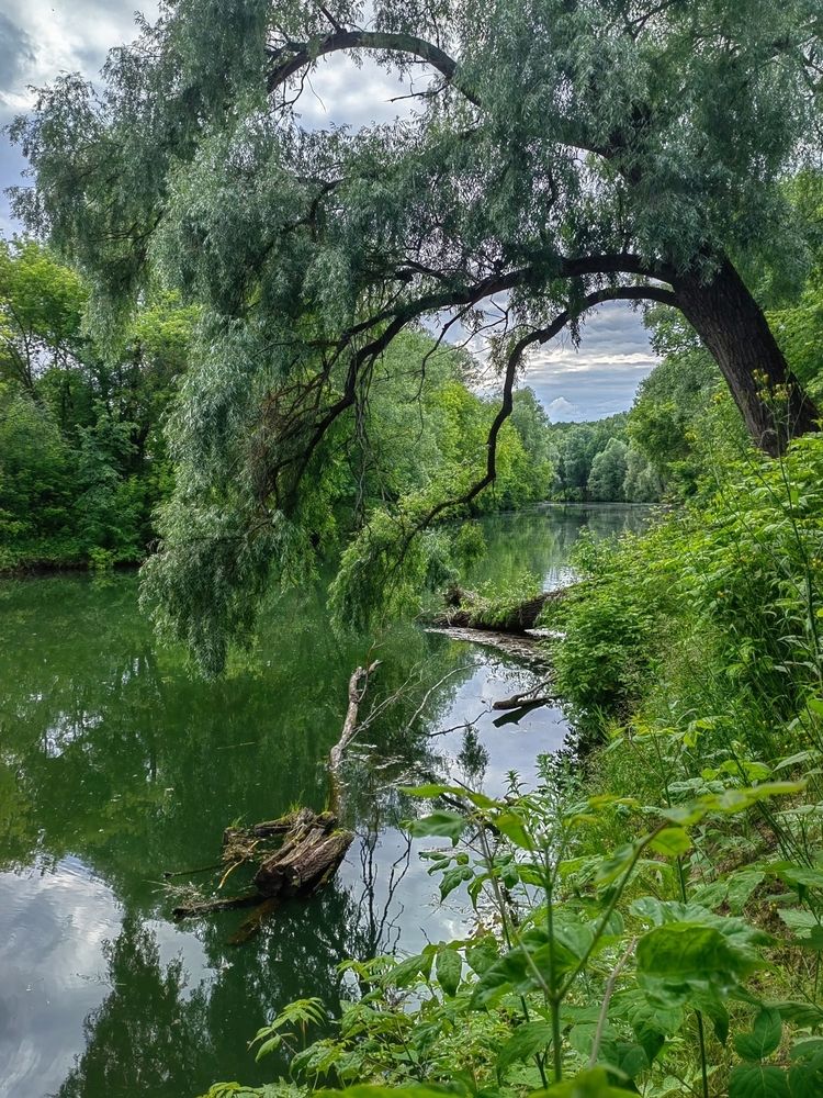 Photograph by Мария Самохвалова