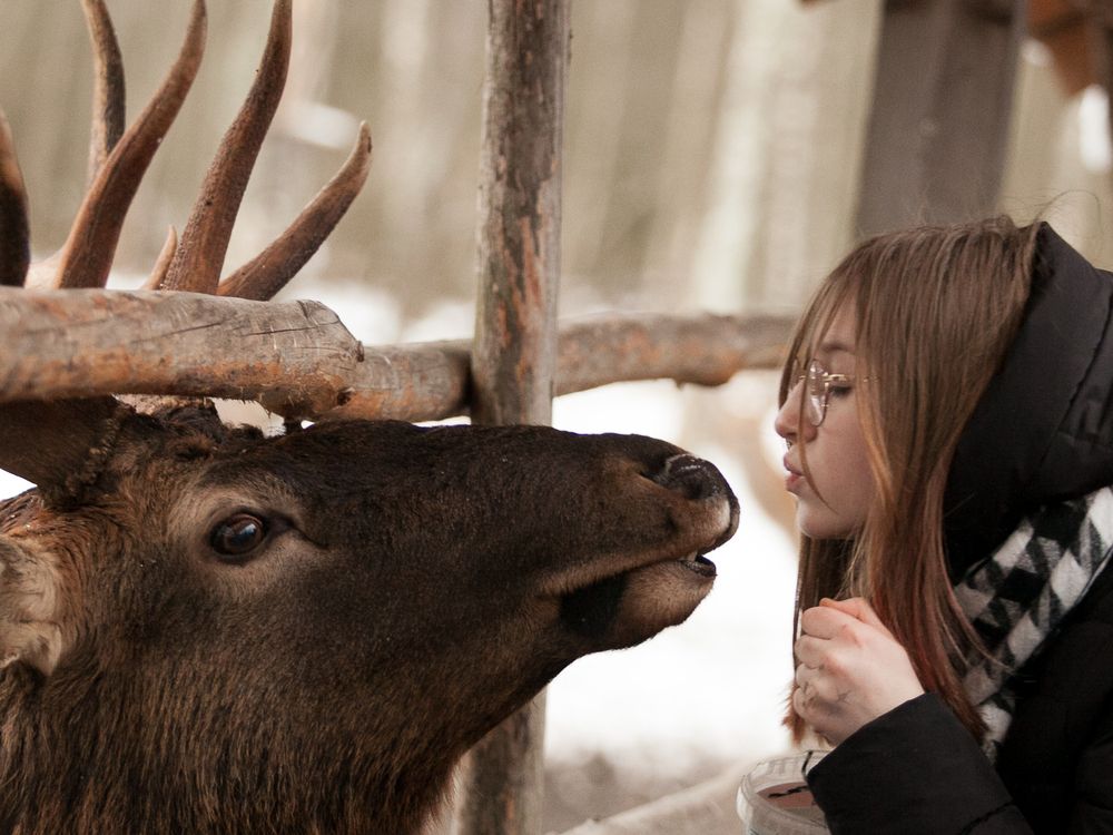 Photograph by Лолита Богачева