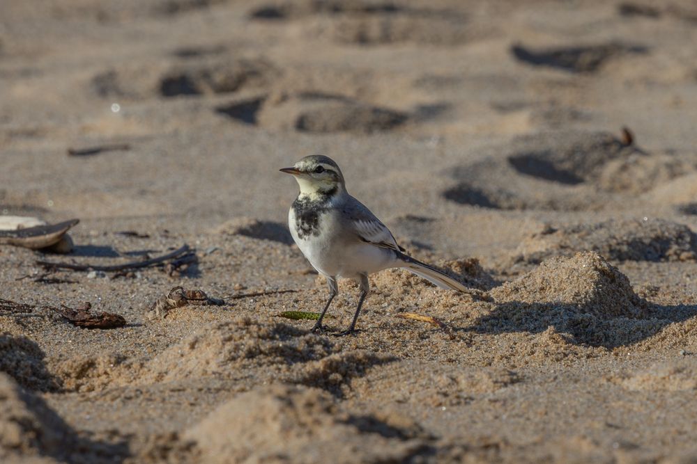 Photograph by Юлия Яковлева