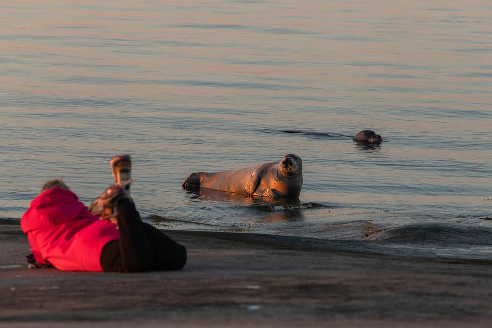 Photograph by Юлия Яковлева