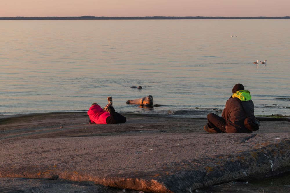 Photograph by Юлия Яковлева