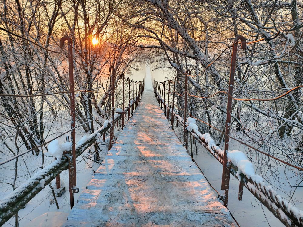 Photograph by Кухта Мария