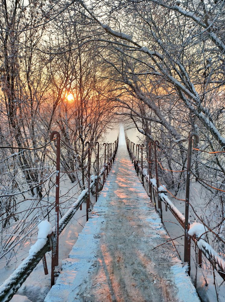 Photograph by Кухта Мария