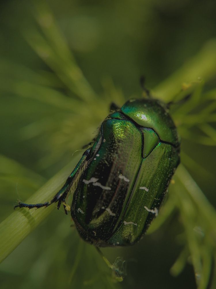 Photograph by Наталия Соболева