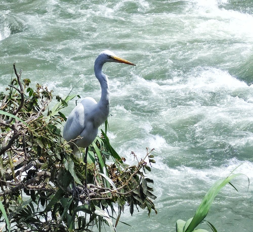 Photograph by Jorge Giol - El Caminante