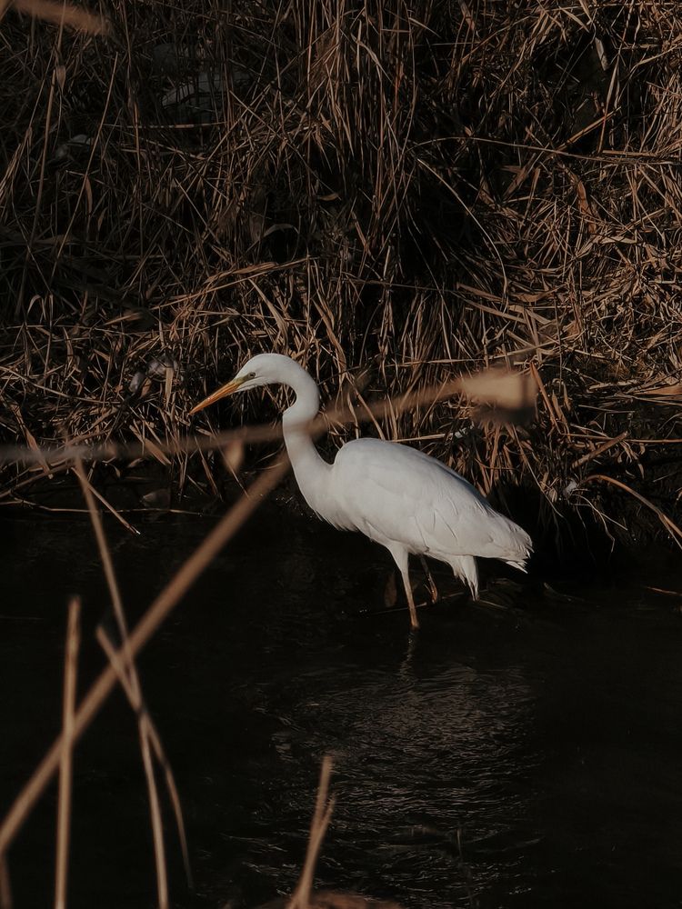 Photograph by Наталия Соболева
