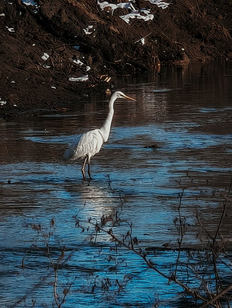 Photograph by Наталия Соболева