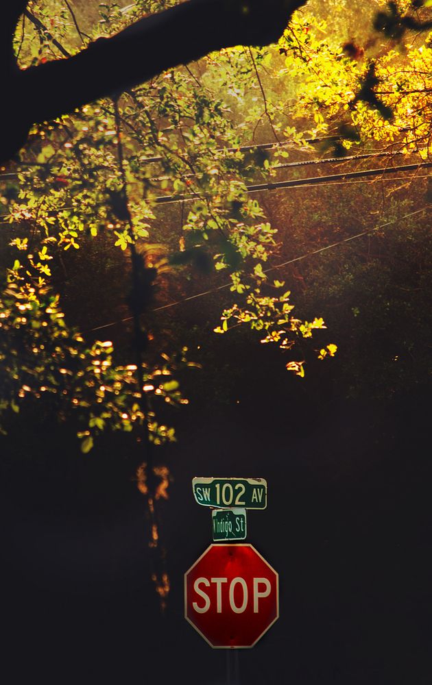 Фотография автора Tomas Manuel Fonte Hernandez