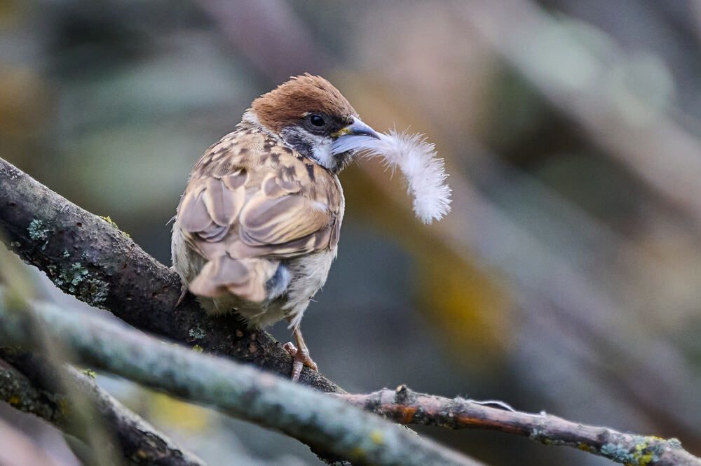 Photograph by Дмитрий Солодухин