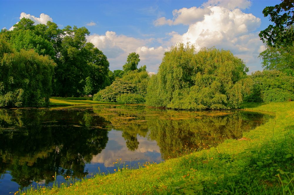Photograph by Sergej Roor