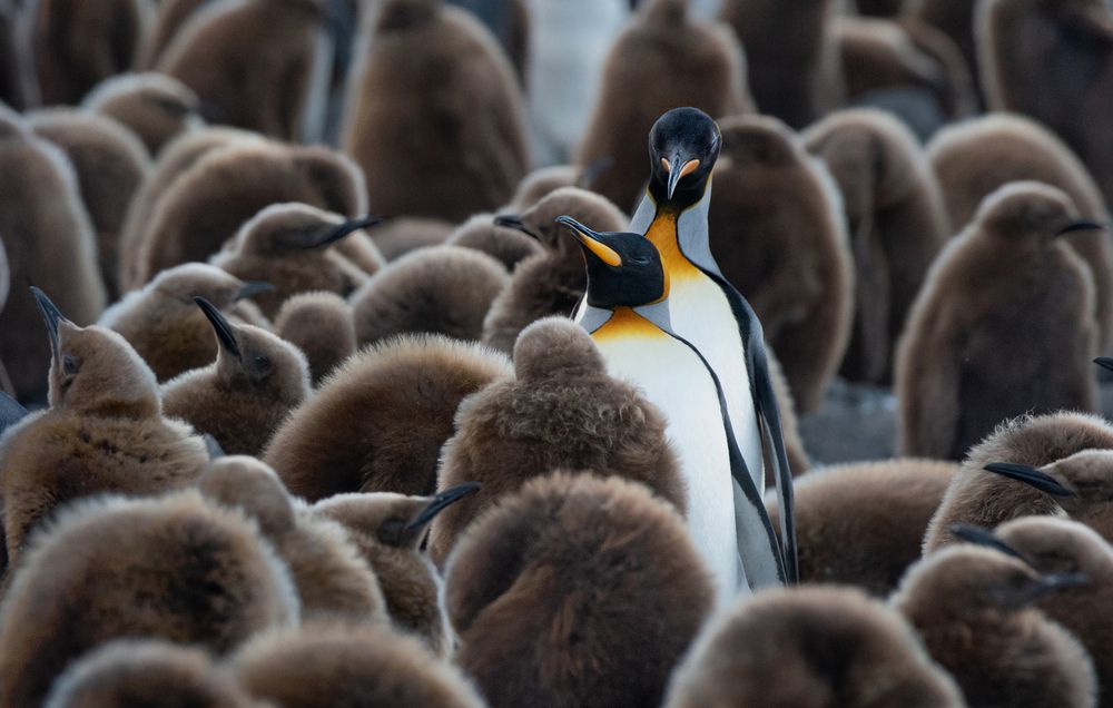 Standing out