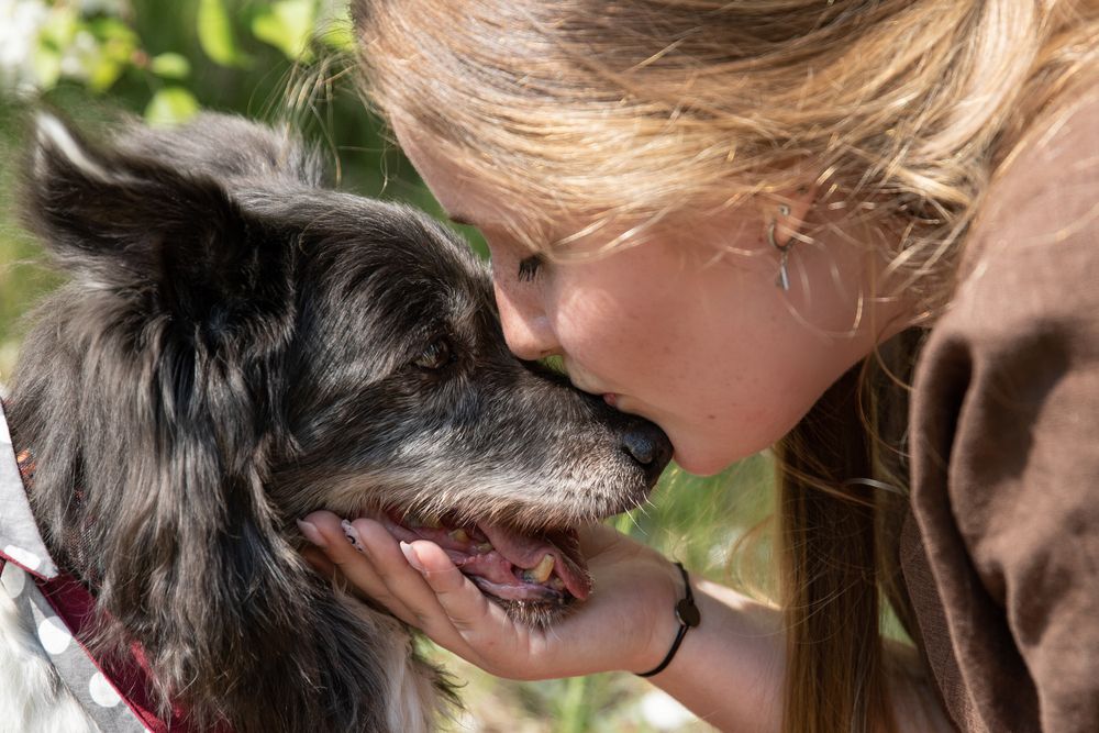 Photograph by Татьяна Арендаренко