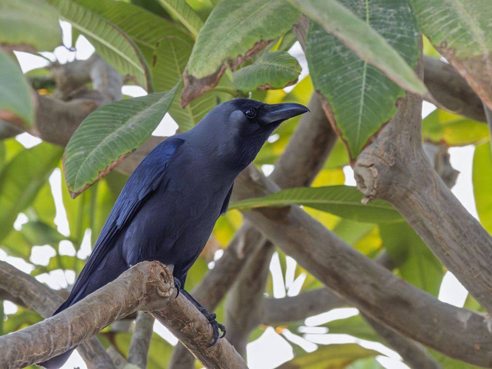 Photograph by Борис Полтавец