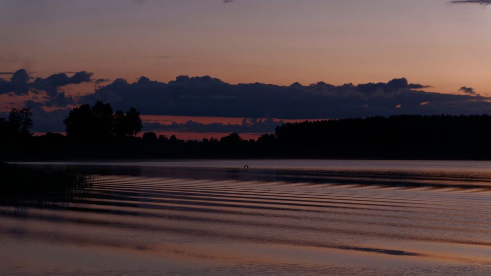 Photograph by Кирилл Корякин