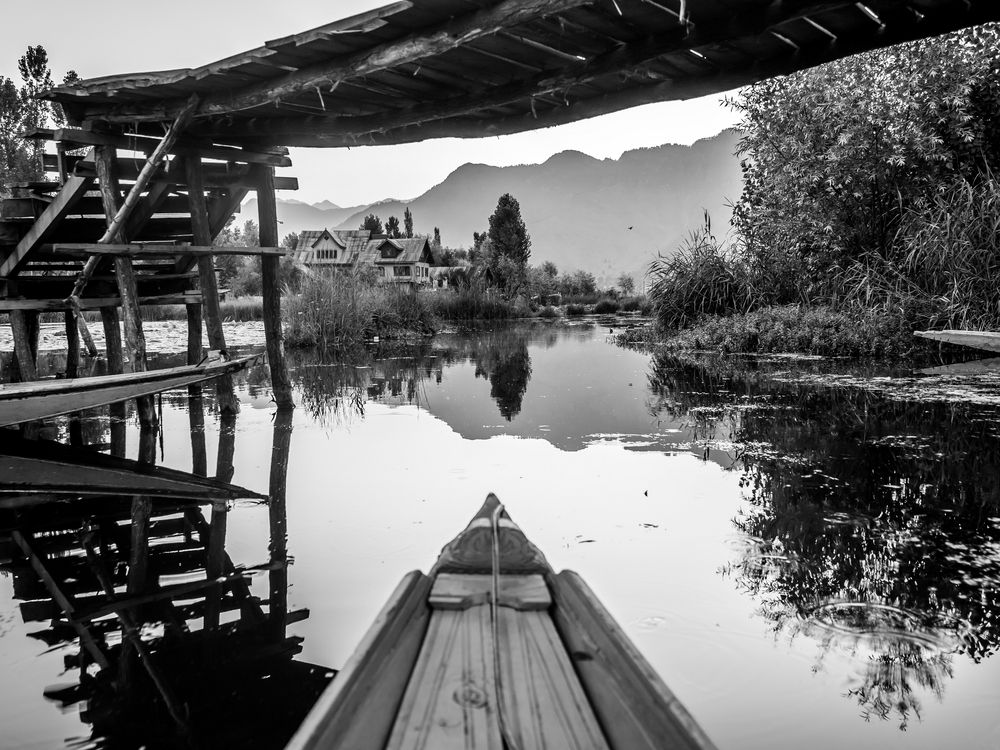 Фотография автора Юлия Есина