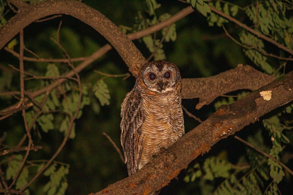 Photograph by vijay parmar