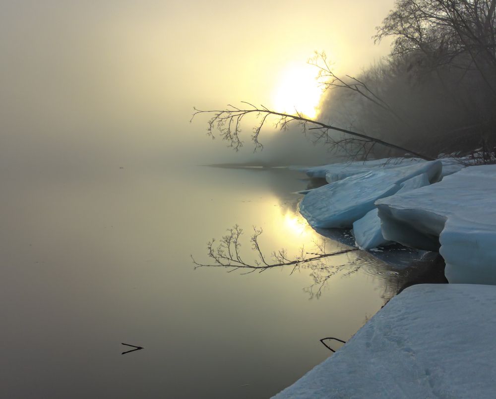 Photograph by Михаил Швайко