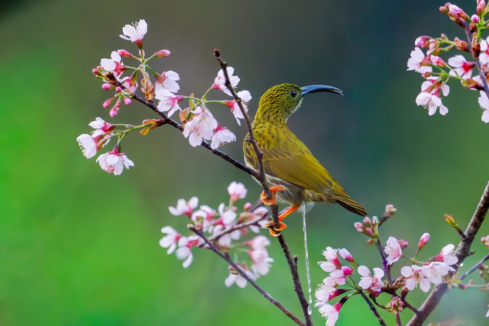 Photograph by Leo Ngo