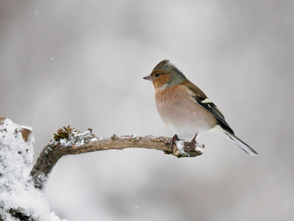 Photograph by Daniela Retzer