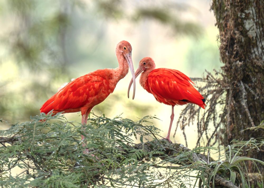 Photograph by Владимир Цветов