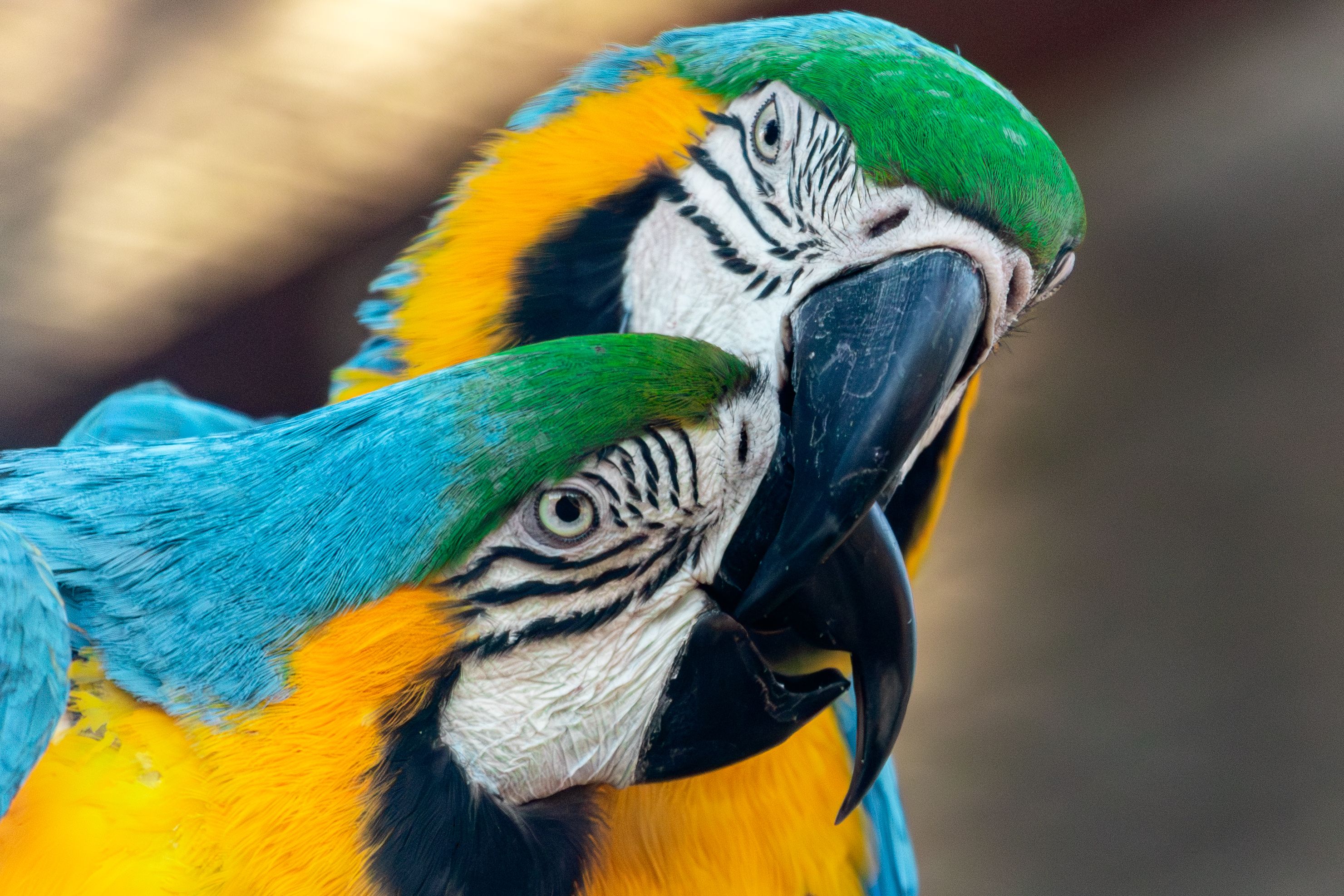 Photograph by Леонтьева Татьяна