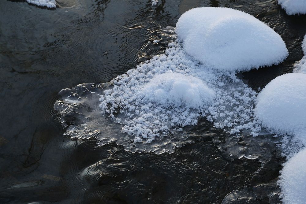 Фотография автора Юрий Еремин