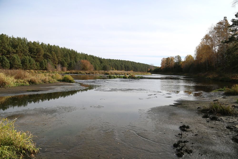 Фотография автора Юрий Еремин
