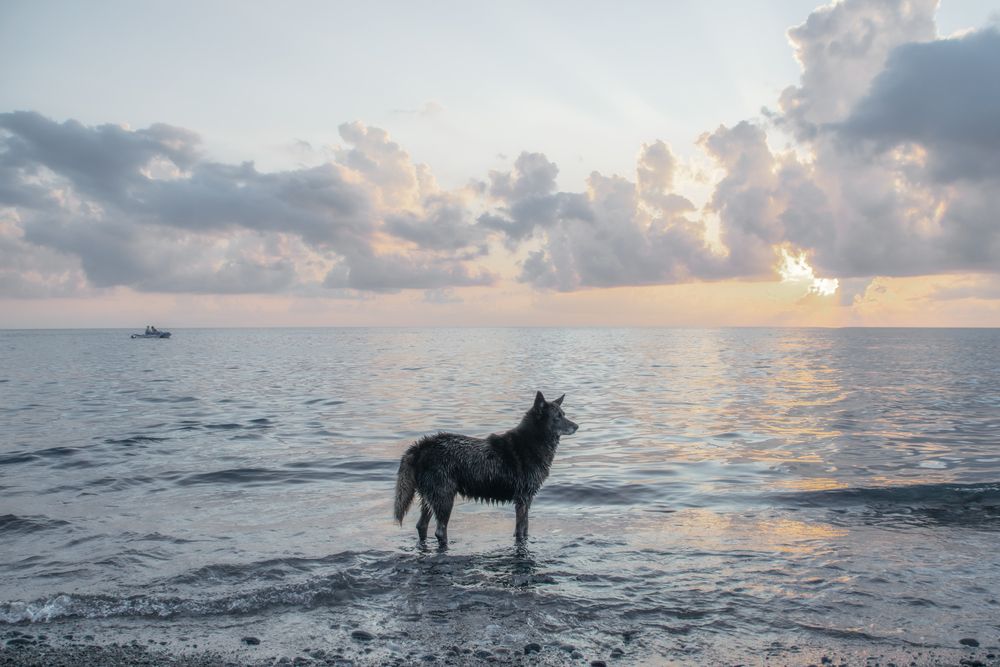 Photograph by Альфия Агзами