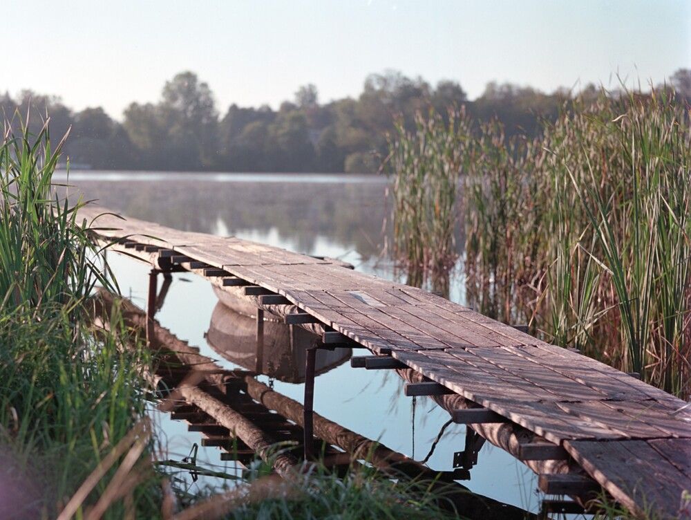Photograph by Геннадий Балабонов