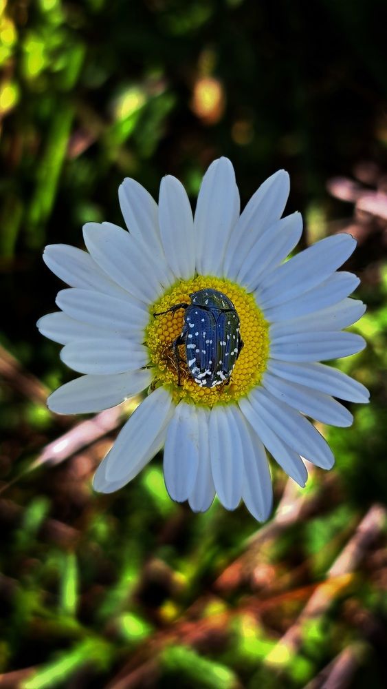 Photograph by Артём Никулинский