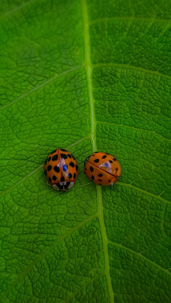 Photograph by Артём Никулинский