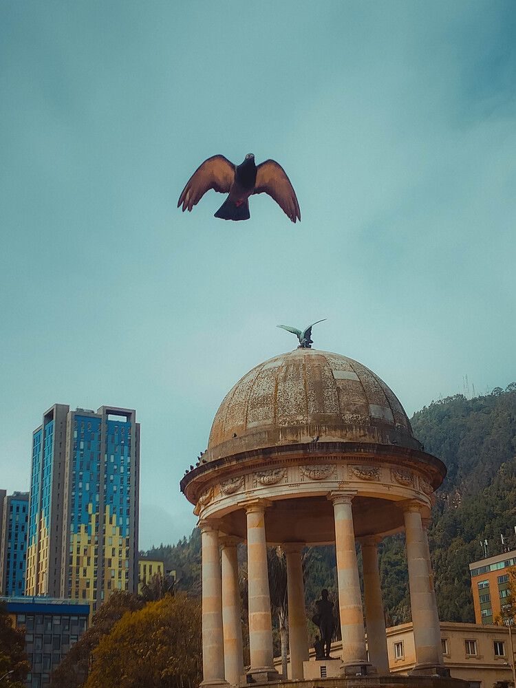 Photograph by Carlos Casas