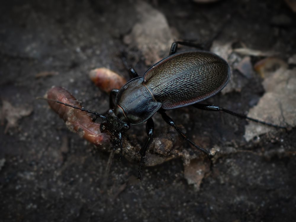 Photograph by Юрий Говорков