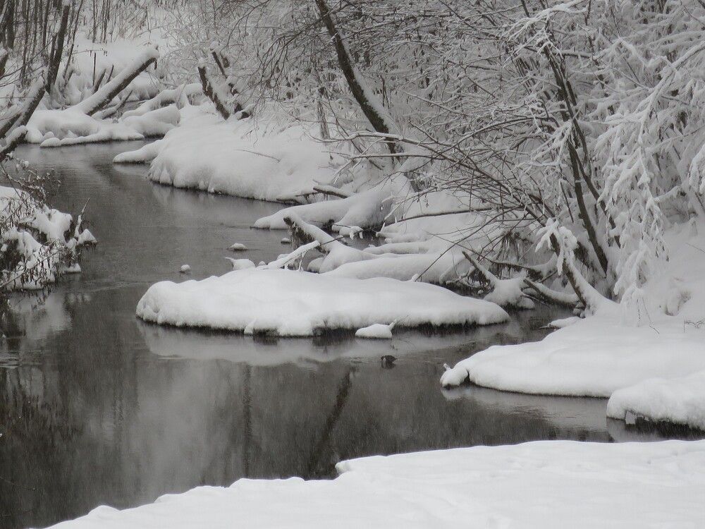 Photograph by Николай Горбачёв
