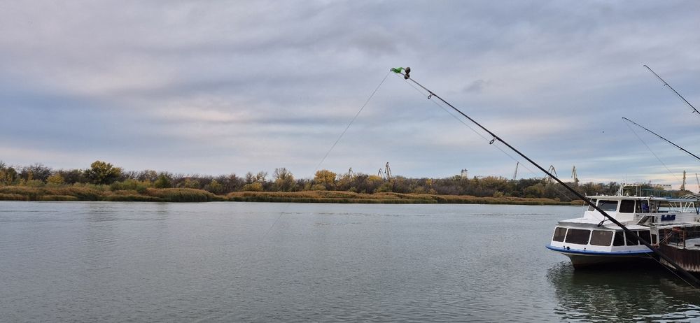 Photograph by Ольга Мусина