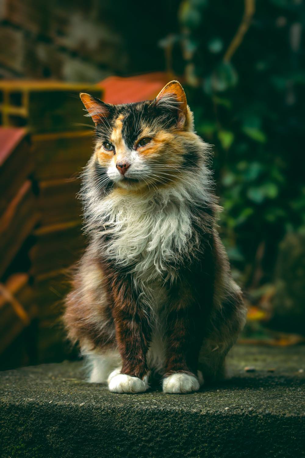 In the right place - Layka