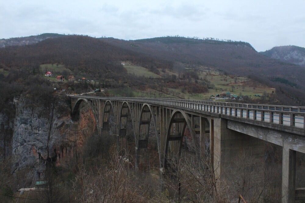 Photograph by Любовь Войводич