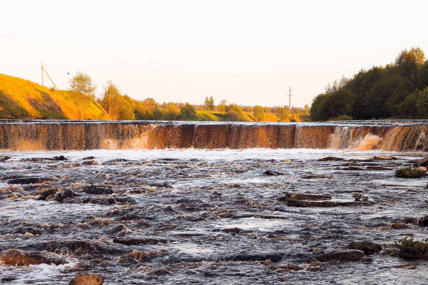 Photo #13245027