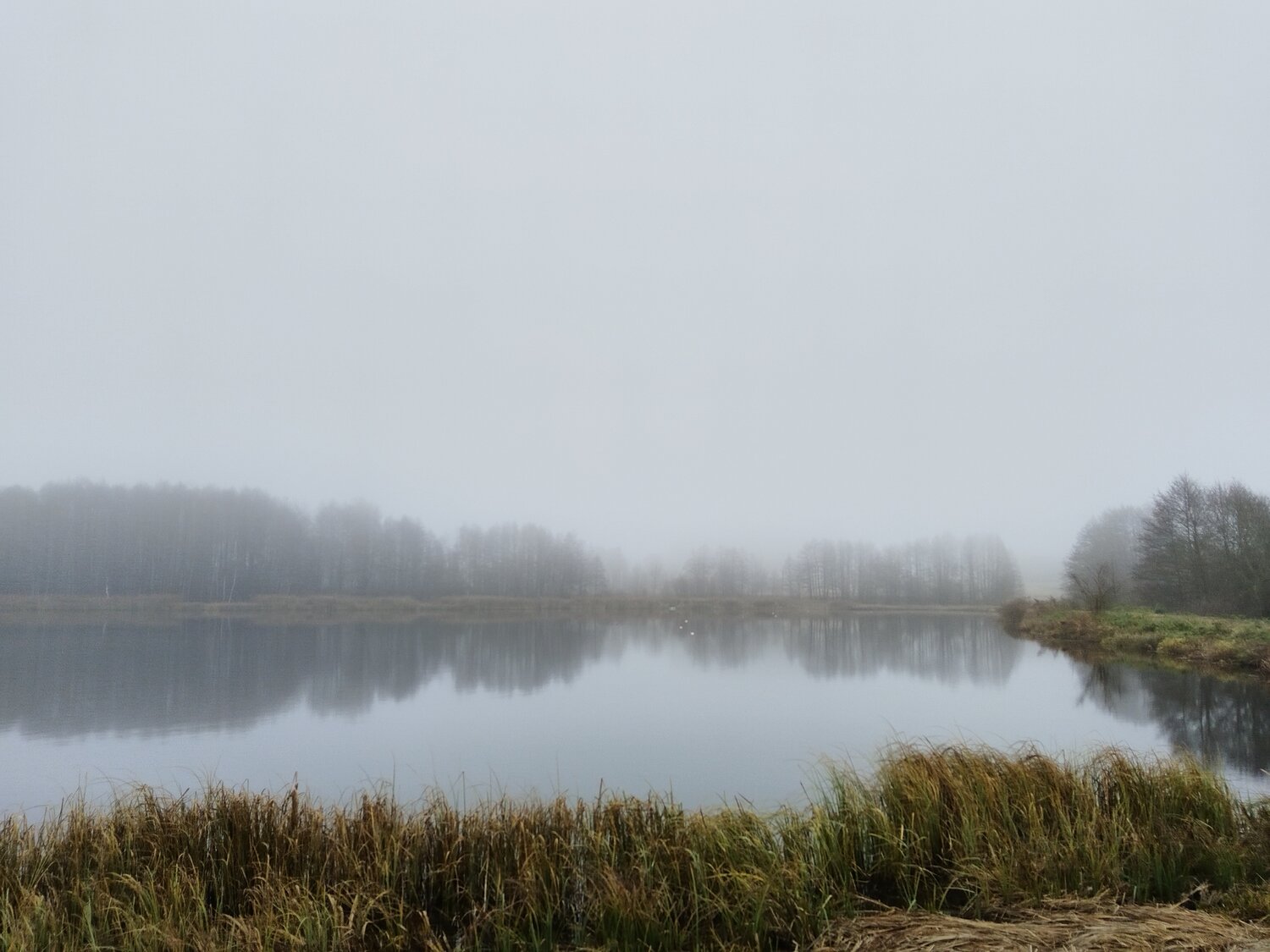 Photo #13245035