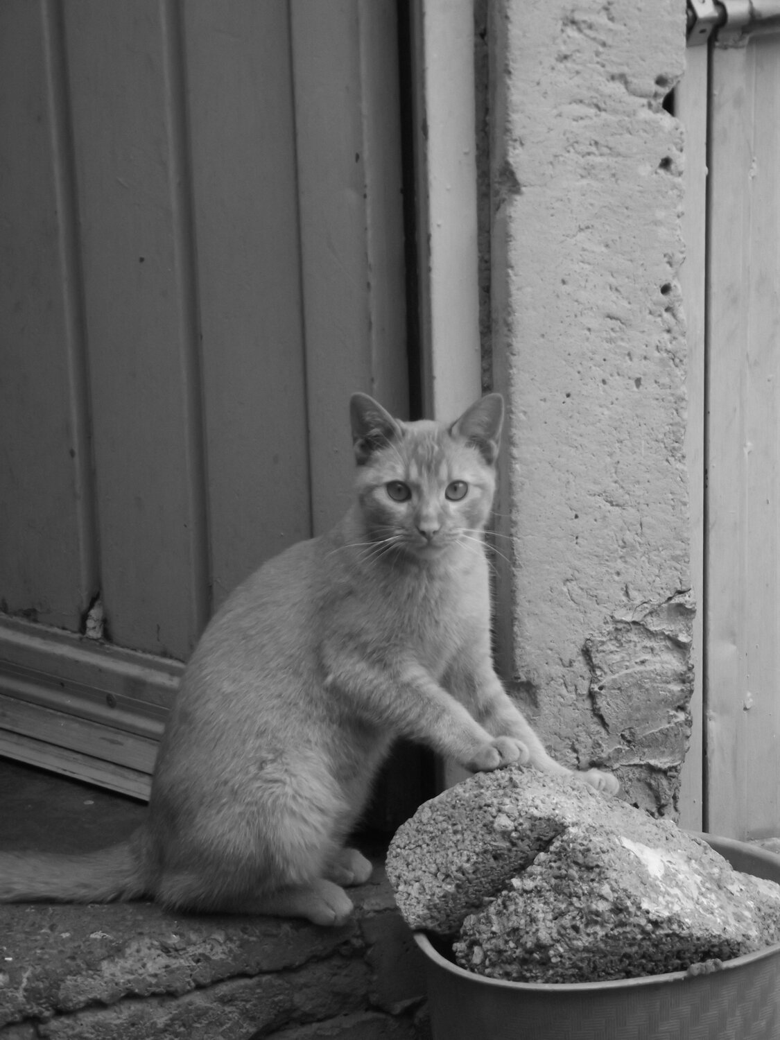 Photo #13245063