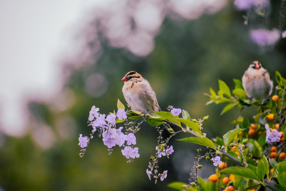 Photograph by Rolene Lusse