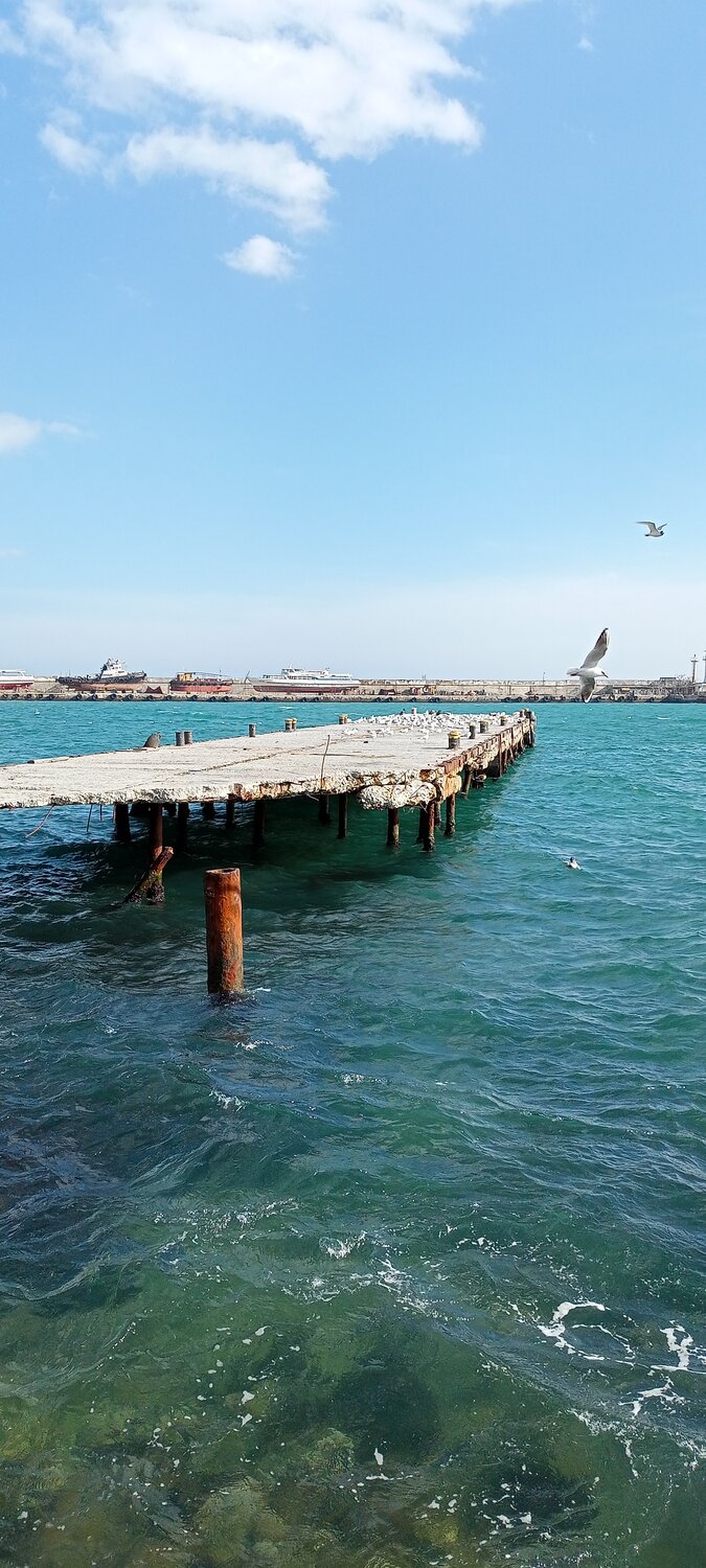 Photo #13245108